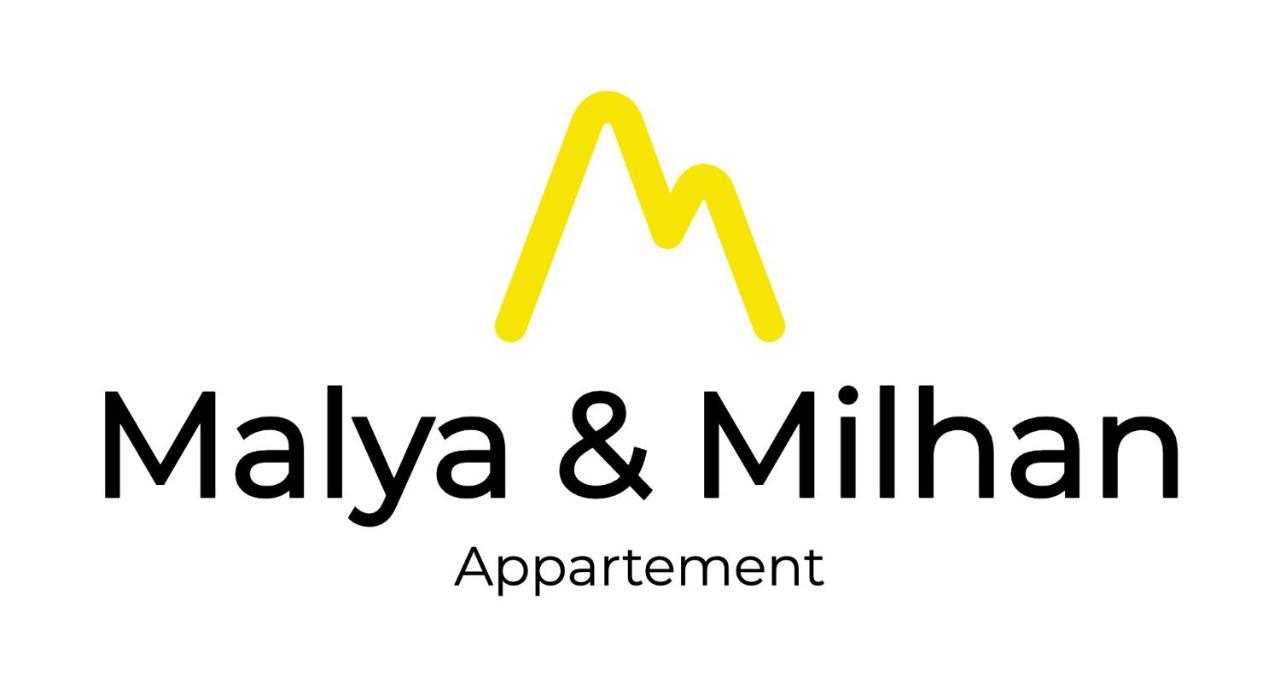Appartement Malya & Parking Prive Grenoble Exterior photo