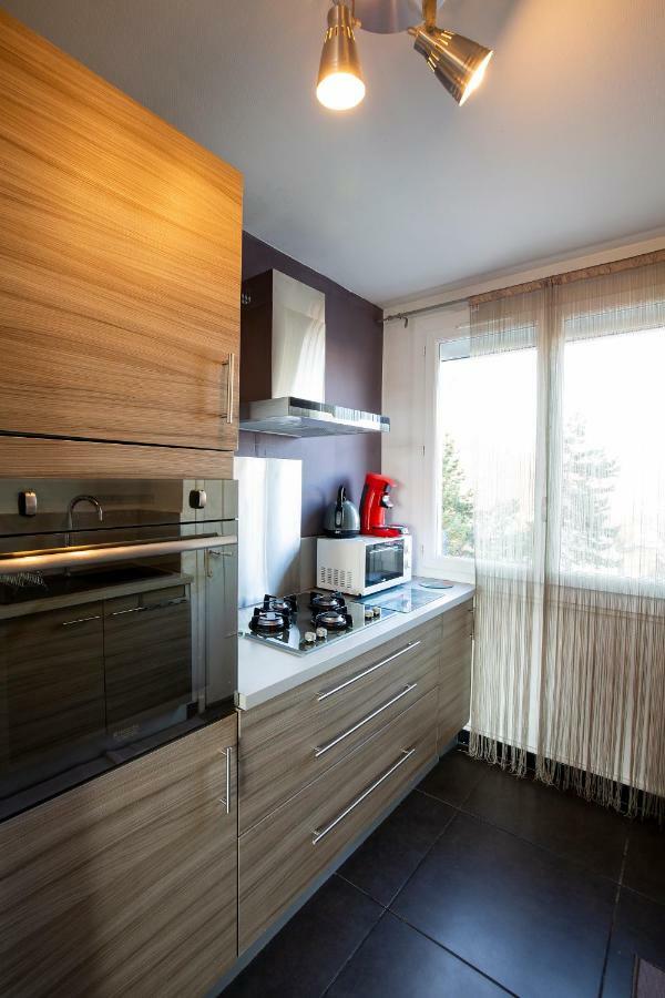 Appartement Malya & Parking Prive Grenoble Exterior photo